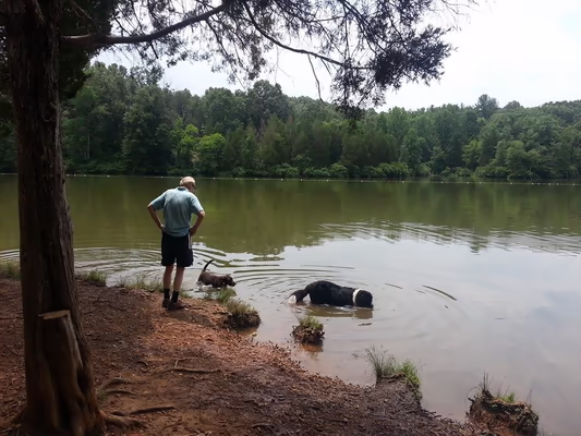 Chris Greene Lake Dog Park photo 1